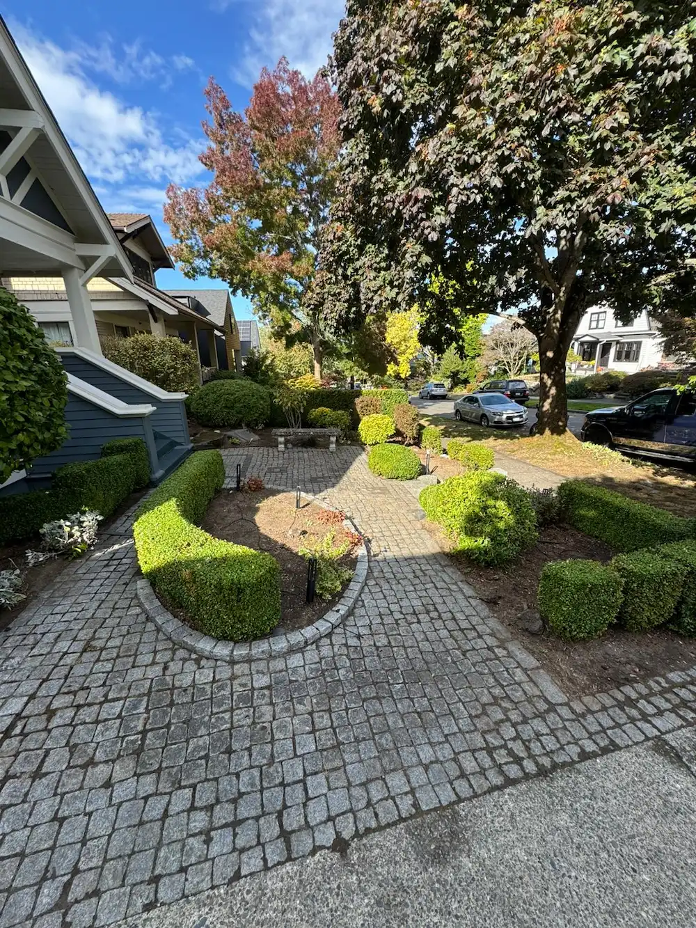 Yard Services Near Me